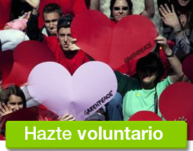 Hazte voluntario de greenpeace